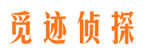 亭湖调查公司